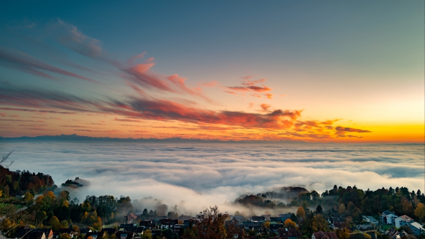 糖心视频社区banner